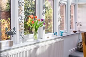 Photo 7- click for photo gallery